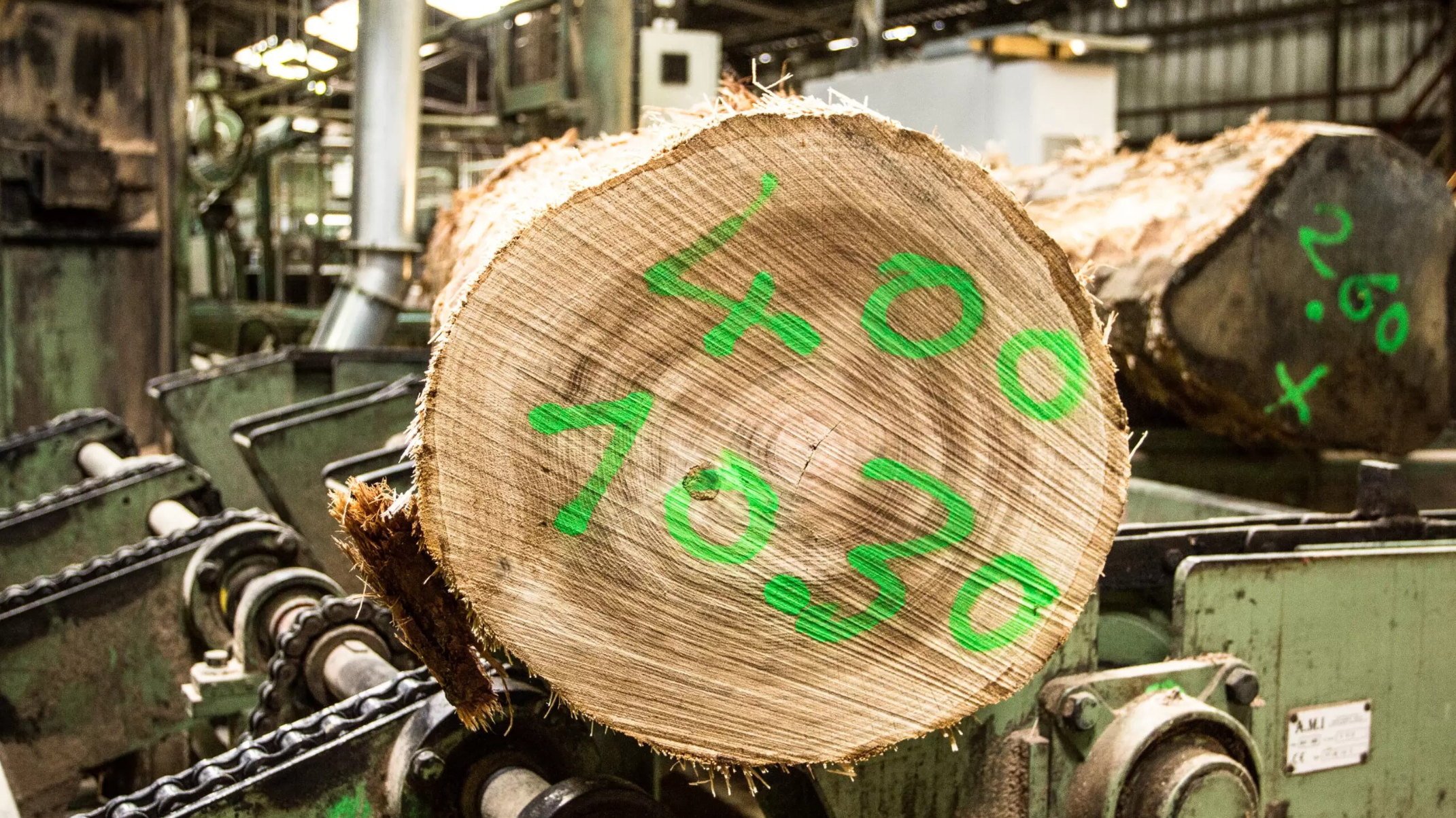 Untitled design (38)