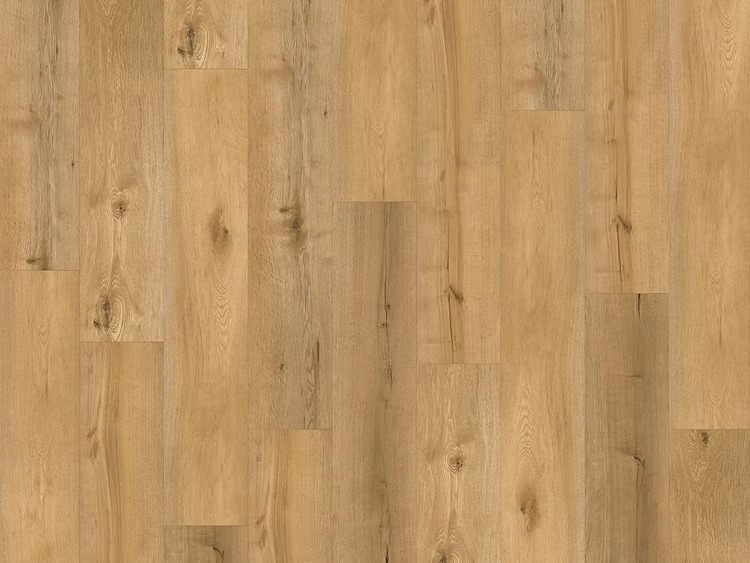 LT SLIM KÄHRS Ranch – Image 8